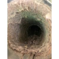 Lint trapped inside a dryer vent 